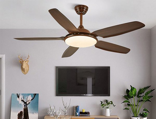 Polywood Ceiling Fan