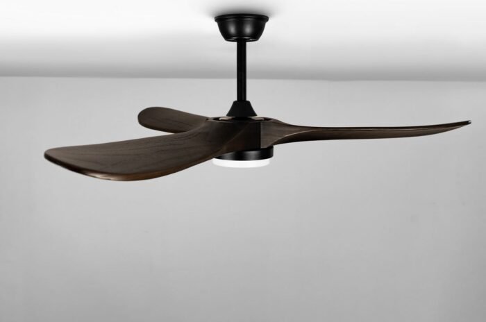 CAF520003 - Image 4